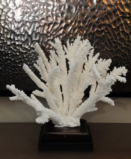 Peaces Koralen / Corals  van Exclusive Items 